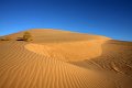 15_Imperial_Sand_Dunes_Recreation_Area