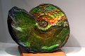 20_Tucson_Gem_and_Mineral_Show_2011