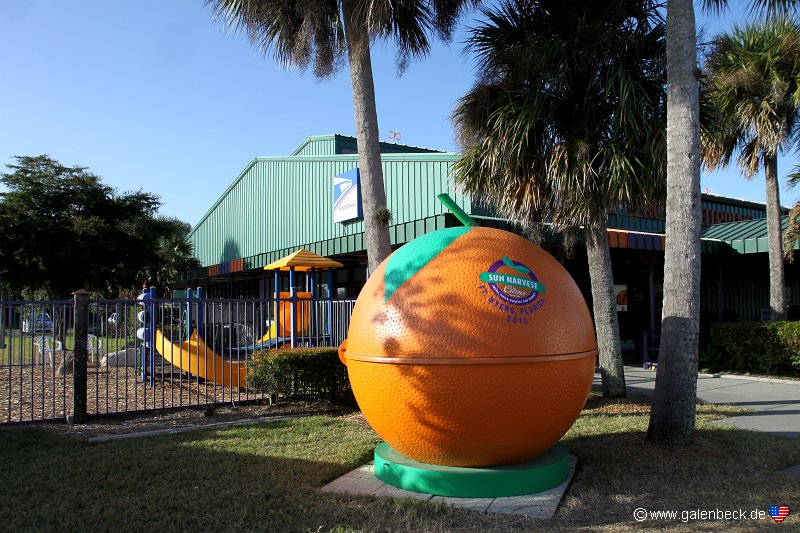 Sun Harvest Citrus Fort Myers