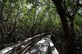 Everglades_National_Park_10