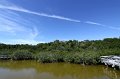 Everglades_National_Park_15