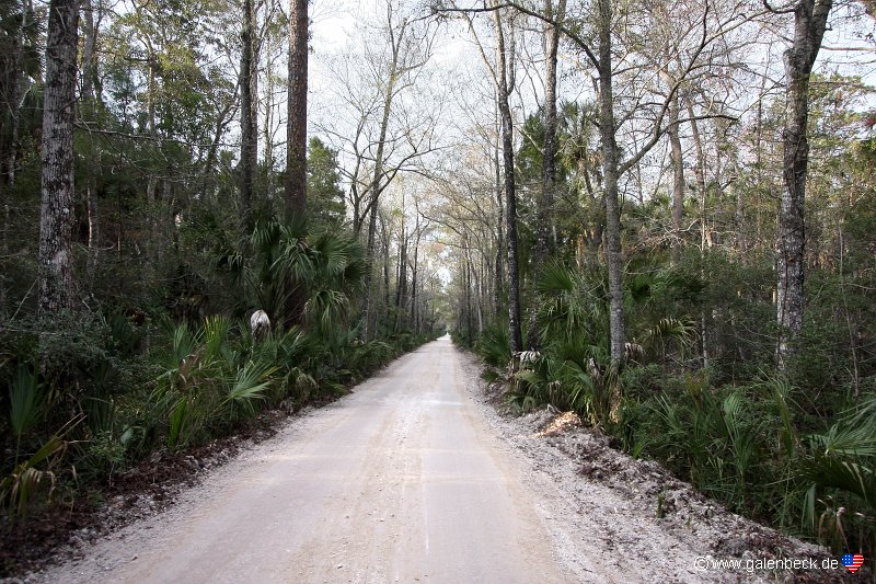 Dixie Mainline Road