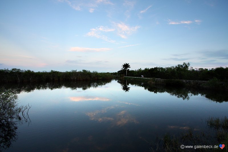 Everglades National Park Anhinga Trail