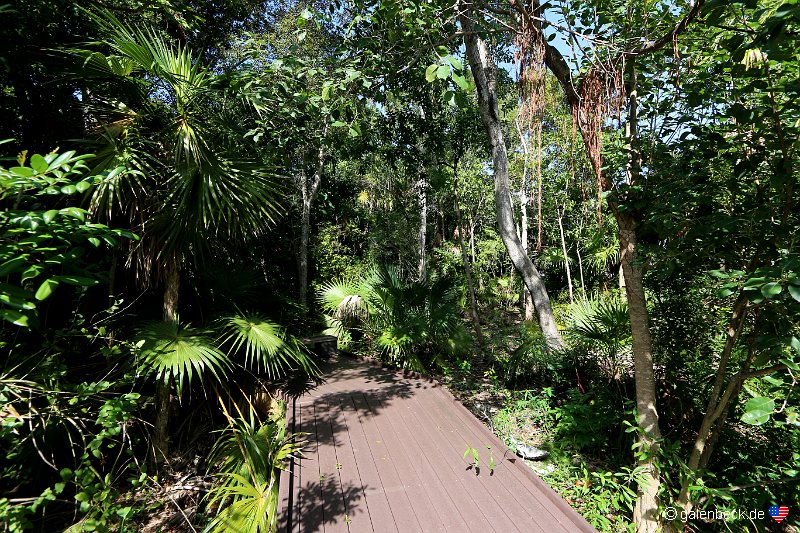 Key West Botanical Garden