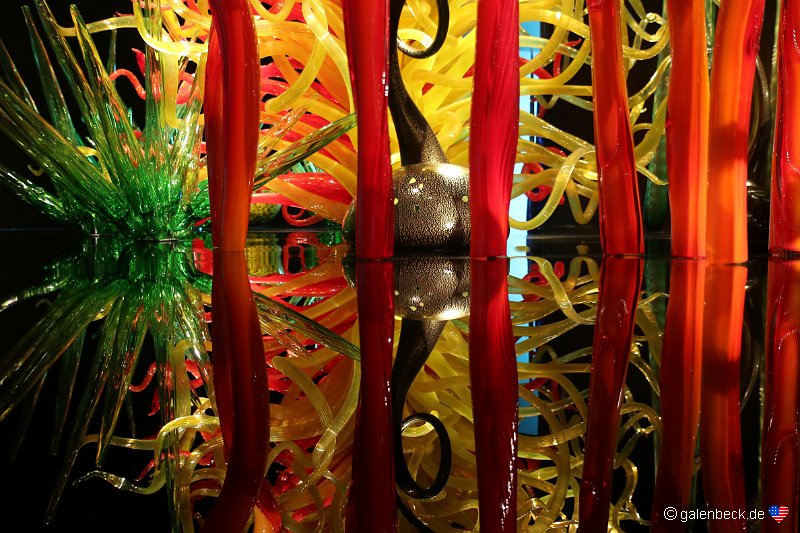 Chihuly Collection St. Pete