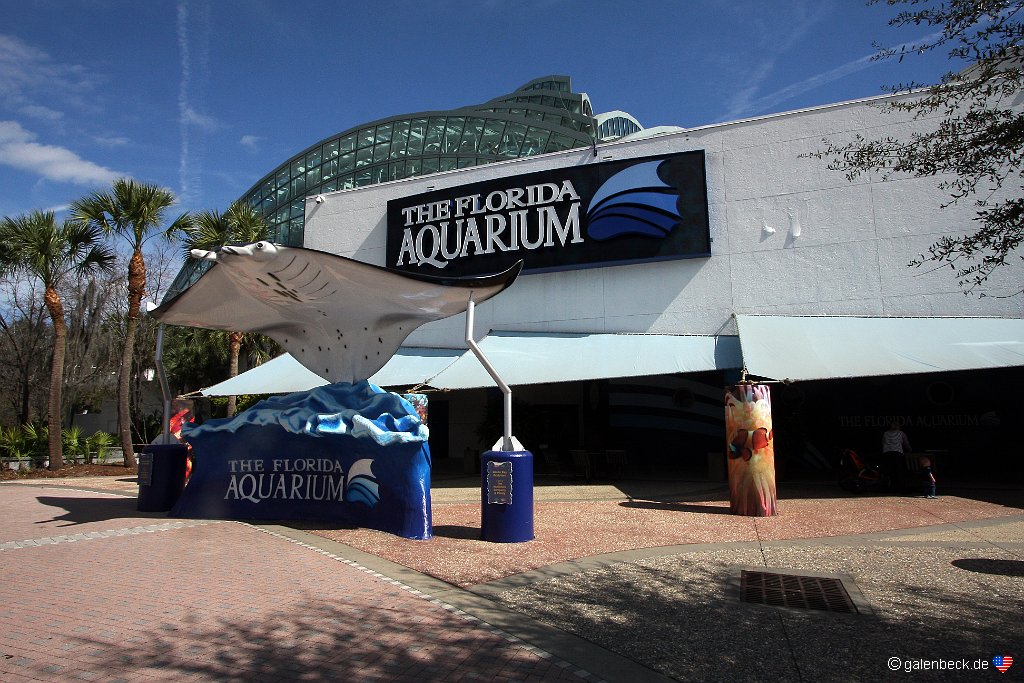 Florida Aquarium Tampa