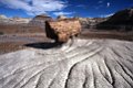 26_Petrified_Forest_National_Park