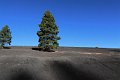 38_Sunset_Crater_Volcano_National_Monument