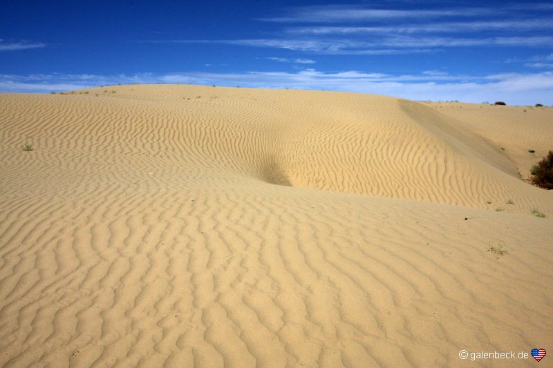 Chaco River Dunes