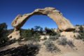 051_Cox_Canyon_Arch
