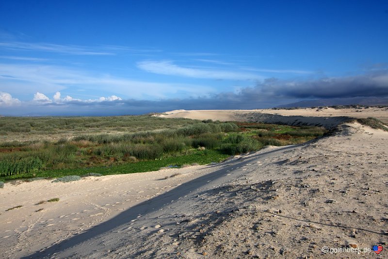 Guadelupe-Nipomo Dunes Preserve