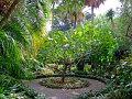 Jardin_Botanico_Puerto_de_la_Cruz_000