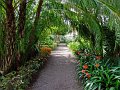 Jardin_Botanico_Puerto_de_la_Cruz_011
