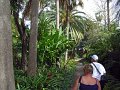 Jardin_Botanico_Puerto_de_la_Cruz_016