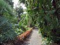 Jardin_Botanico_Puerto_de_la_Cruz_022