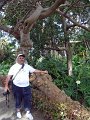 Jardin_Botanico_Puerto_de_la_Cruz_038