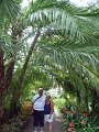 Jardin_Botanico_Puerto_de_la_Cruz_040