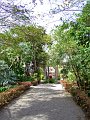 Jardin_Botanico_Puerto_de_la_Cruz_047