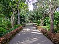 Jardin_Botanico_Puerto_de_la_Cruz_056