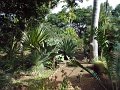 Jardin_Botanico_Puerto_de_la_Cruz_060