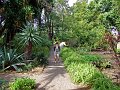 Jardin_Botanico_Puerto_de_la_Cruz_082