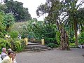 Jardin_Botanico_Puerto_de_la_Cruz_095