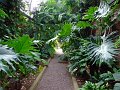 Jardin_Botanico_Puerto_de_la_Cruz_100