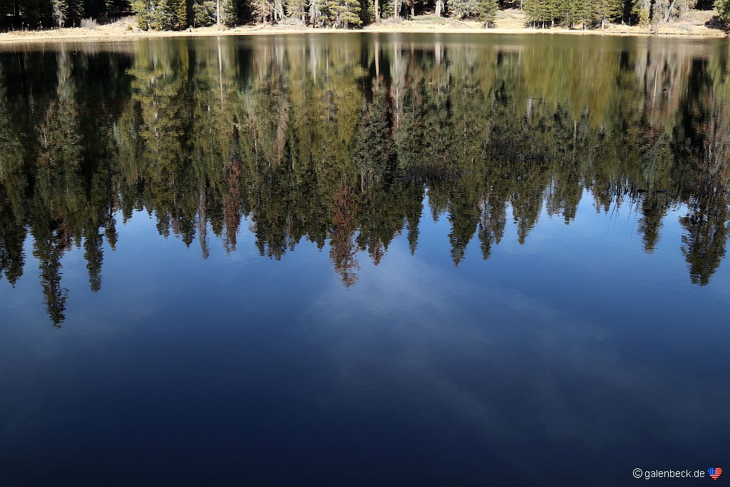 Sequoia Lodge Pond