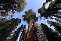 02_Sequoia_National_Park