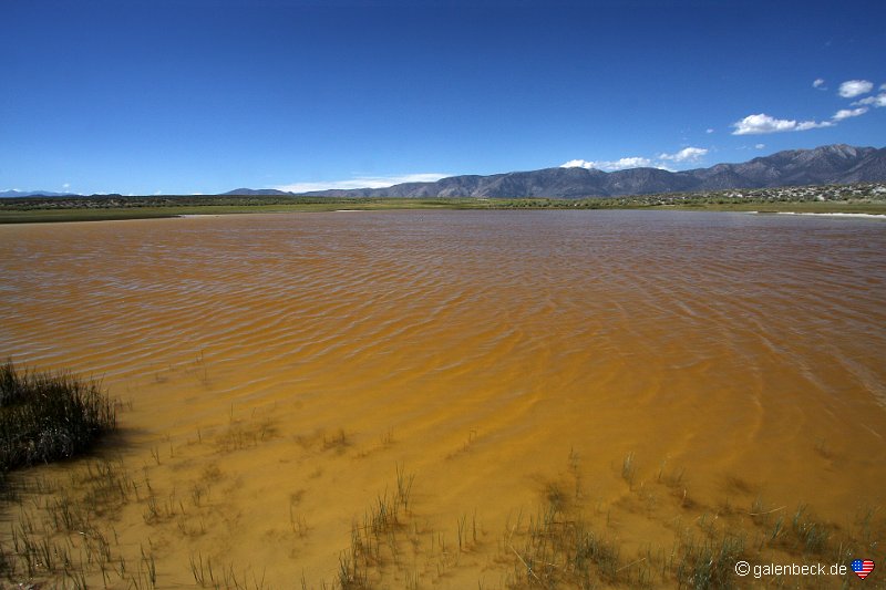 Alkali Pond