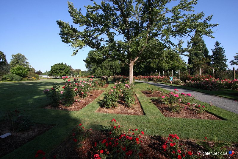 Owens Rose Garden