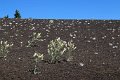 033_Craters_of_the_Moon_NM
