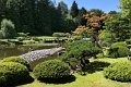 065_Japanese_Garden
