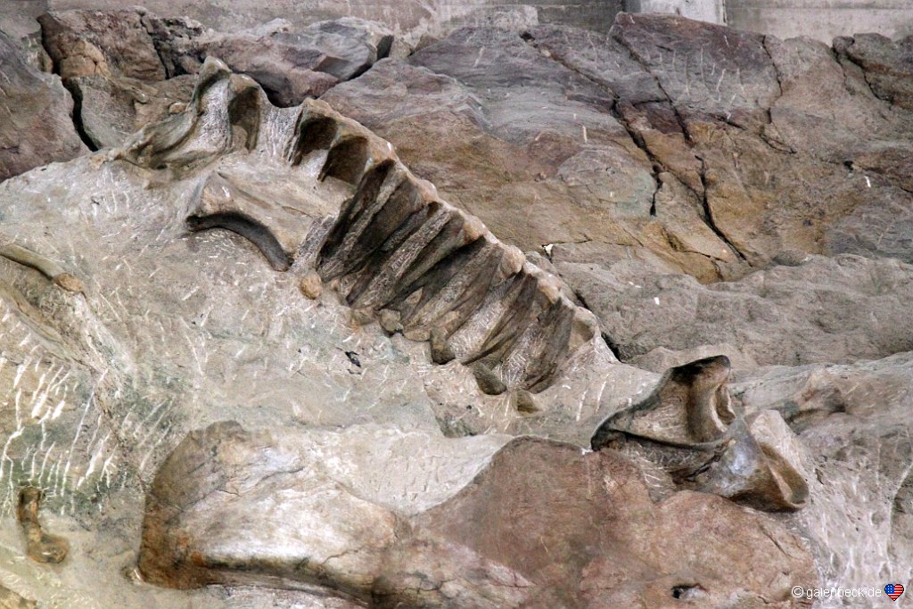 Dinosaur National Monument Fossil Bone Quarry Area