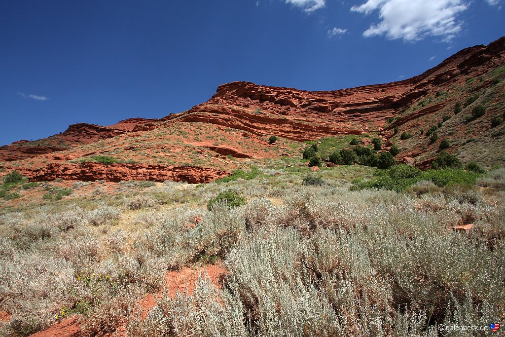 Red Canyon Wildlife Habitat Management Area