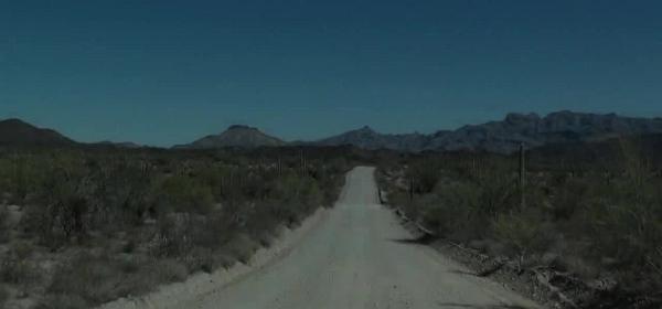 86organ pipe cactus national monument
