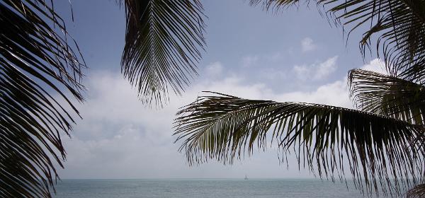 Key West Garden Club West Martello Tower