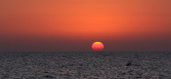 Blind Pass Beach Sanibel / Captiva Island