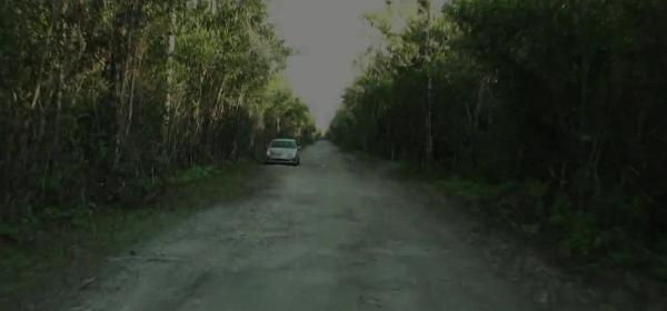 loop road im big cypress national preserve am 7.februar 2010