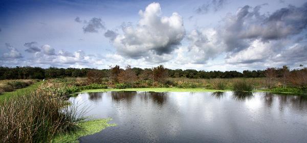Green Cay Wetlands
