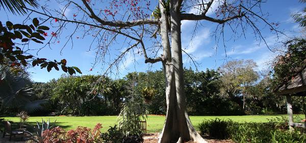 Marie Selby Botanical Gardens