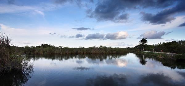 Everglades National Park Anhinga Trail