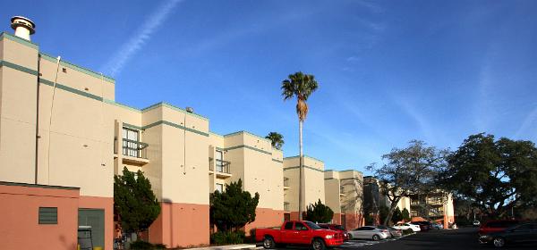 Baymont Inn & Suites Tampa near Busch Gardens