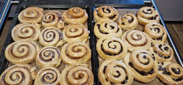 Rosienenschnecken und Nussschnecken