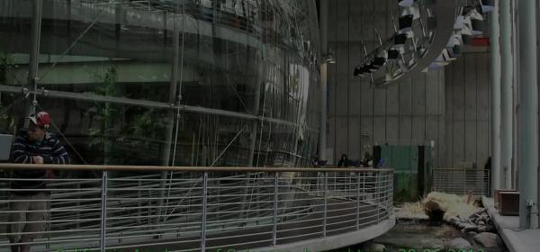 california academy of sciences