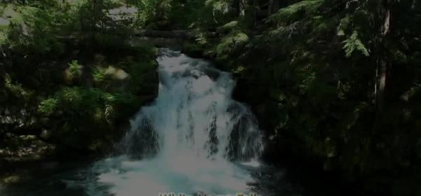white horse falls