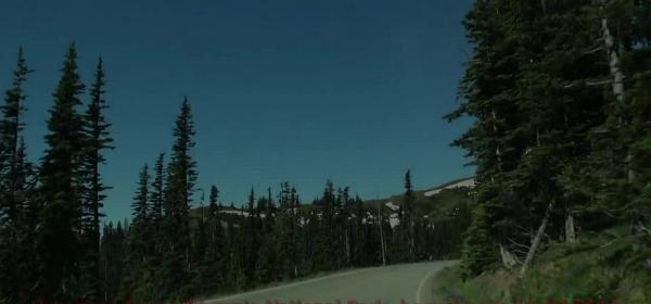 hurricane ridge - olympic national park