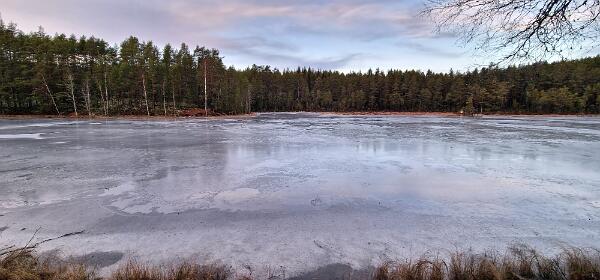 Mjögtjärnen