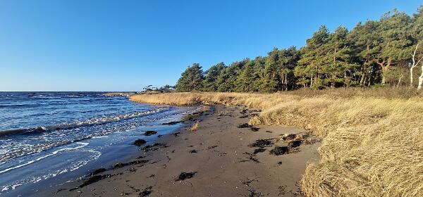 Trönninge Beach