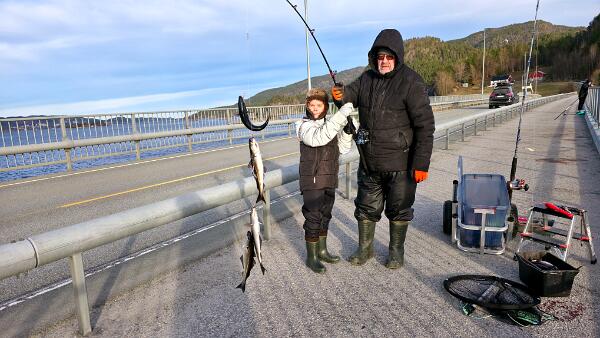 fishing from the Bergsøysundbru